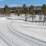 Apartmán Sentrum For 4 Personer